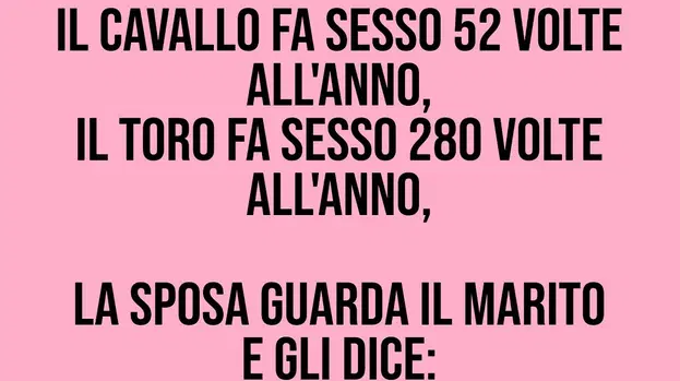 “Il cavallo lo fa 52 volte all’anno, il toro 280 e mio marito..”